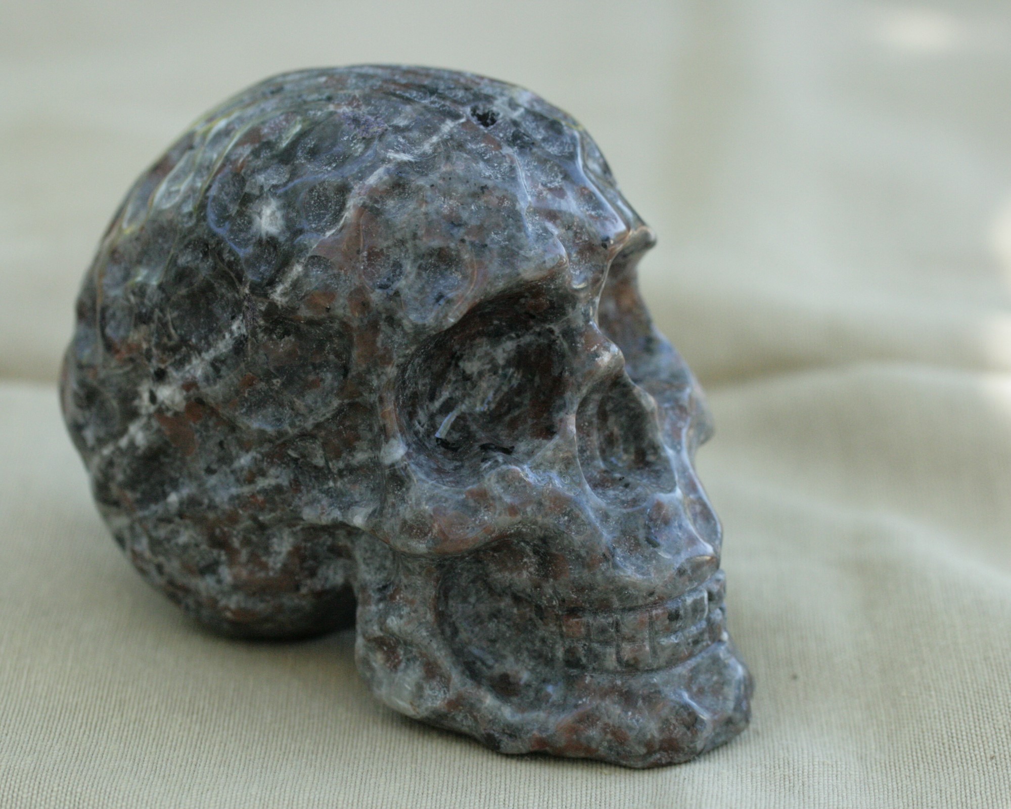 Yooperlite Skull from Michigan